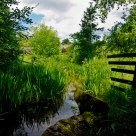 Cotswold Stream